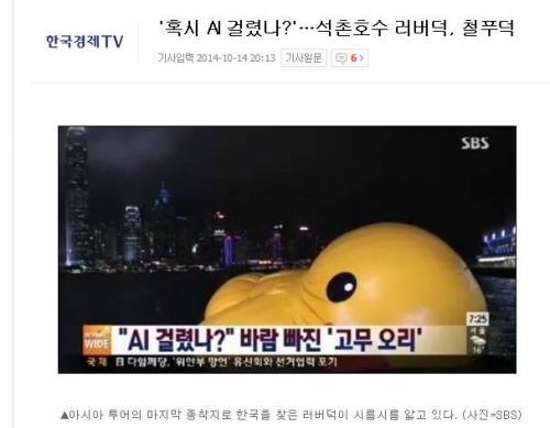 자극적인 기사들의 희생양이 된