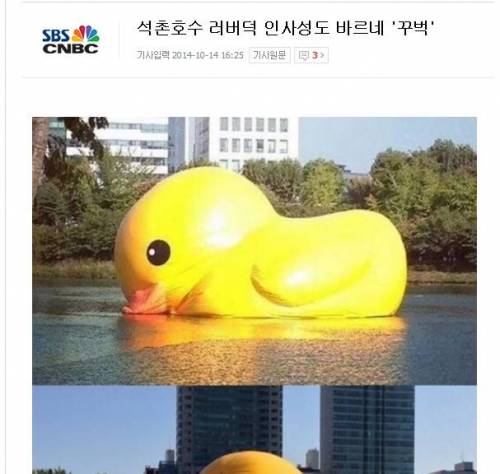 자극적인 기사들의 희생양이 된