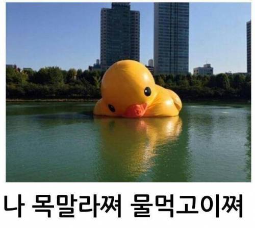 러버덕의 여덟 가지 수난