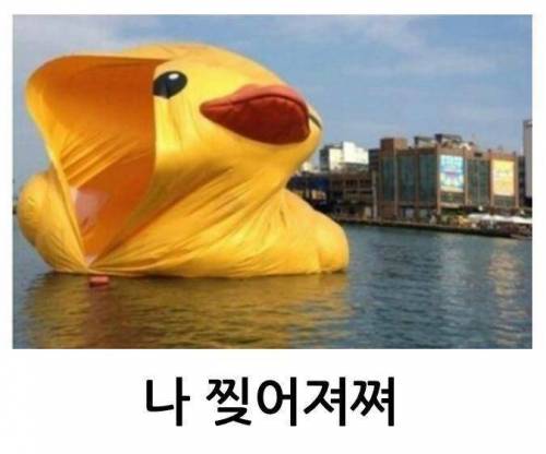 러버덕의 여덟 가지 수난