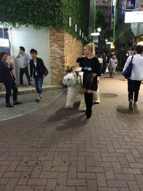 애완동물 산책시키는 금발언니