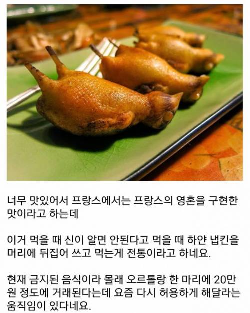 프랑스에서 금지된 음식 오르톨랑