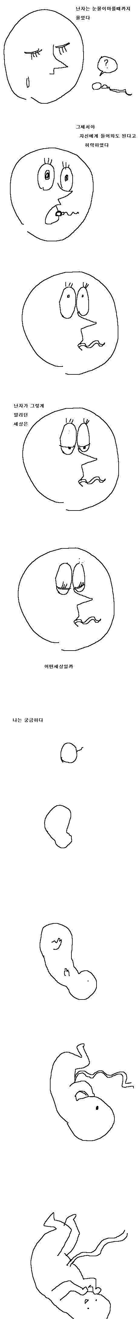 정자와 난자.jpg