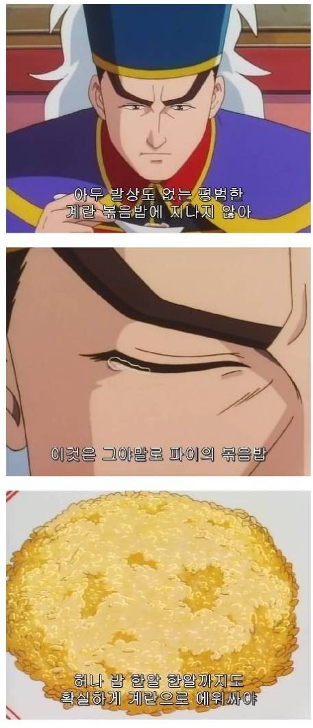 남자들도 할 수 있는 황금볶음밥 레시피