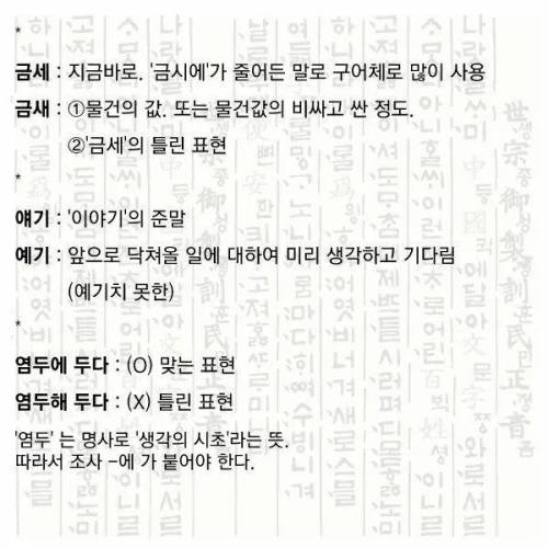 자기소개서에서 자주 틀리는 맞춤법 모음