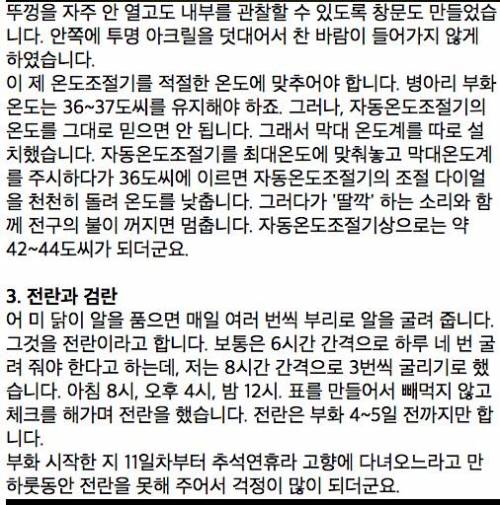 [글스압]아들과 함께한 병아리 부화 체험기