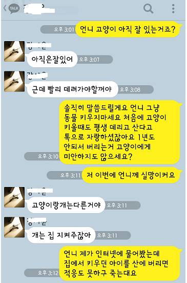 개키운다고 고양이 2마리 버리는 언니