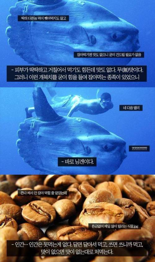 맛 없어서 안 잡아먹힐 줄 알았는데.jpg