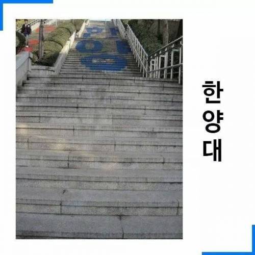 고지대의 대학교들.jpg