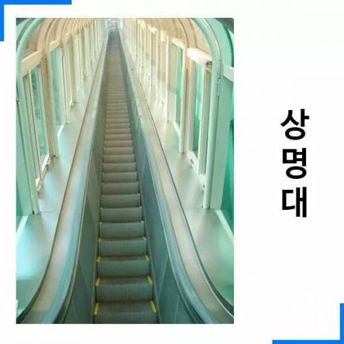 고지대의 대학교들.jpg