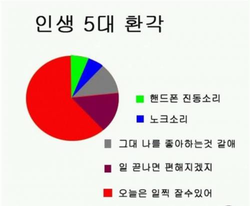 인생 5대 환각