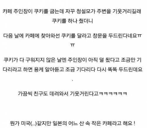 매일매일 문 두들기는 청설모