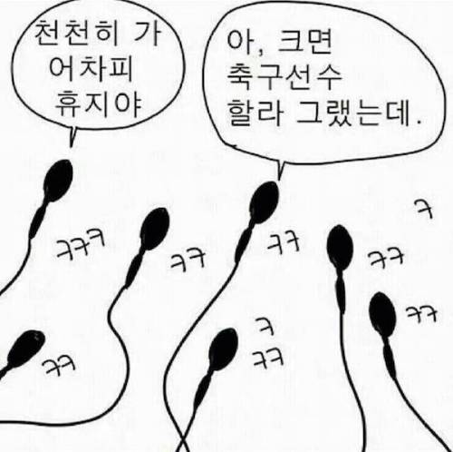 정자들의 대화.jpg