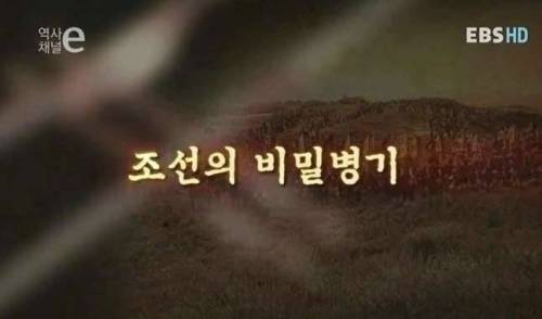 조선의 비밀병기.e