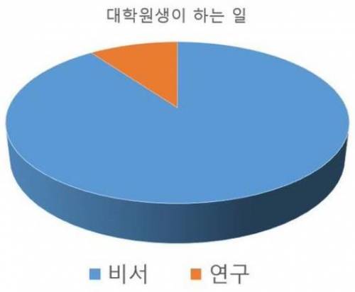 대학원생이 하는 일.jpg