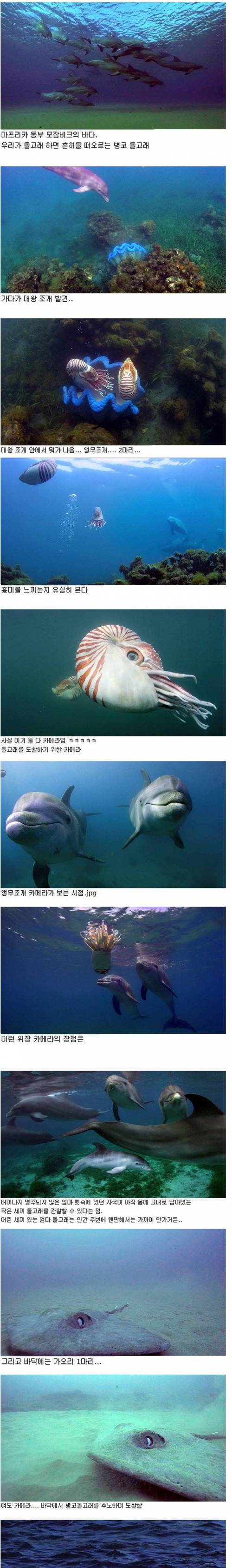 [스압]로봇물고기의 위엄.jpg