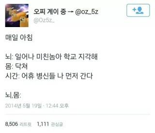 매일 아침 벌어지는 일