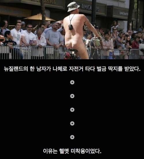 자전거 타다가 벌금 낸 이유