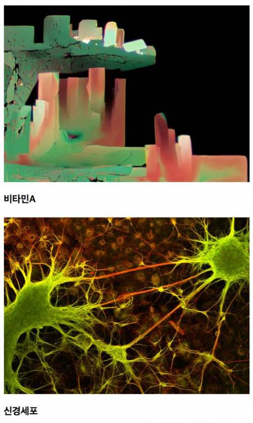 [약혐주의]Micro의 세계.jpg