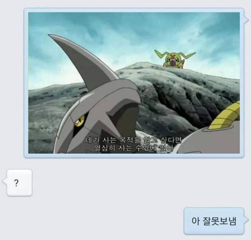 나는 나보다 약한 녀석의 명령 따위는 듣지 않는다.jpg