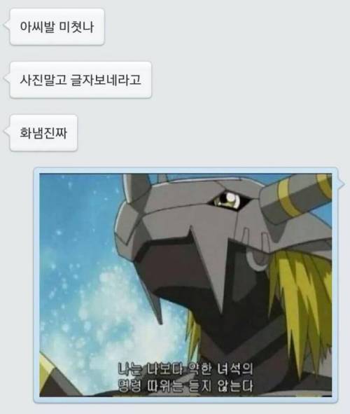 나는 나보다 약한 녀석의 명령 따위는 듣지 않는다.jpg