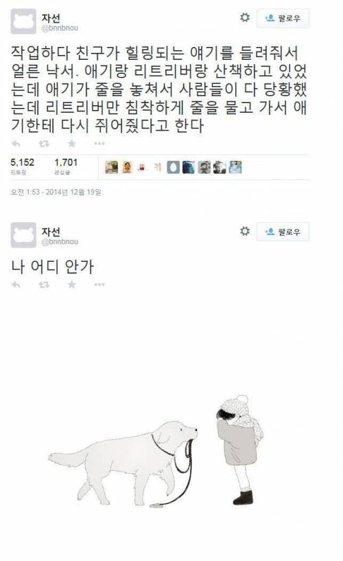 천사표 견종.jpg