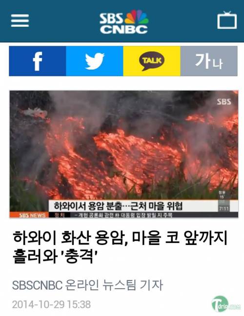 집앞에 흘려진 끈적한 액체..알고보니