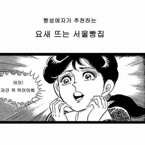 빵성애자가 추천하는 요즘 뜨는 빵집