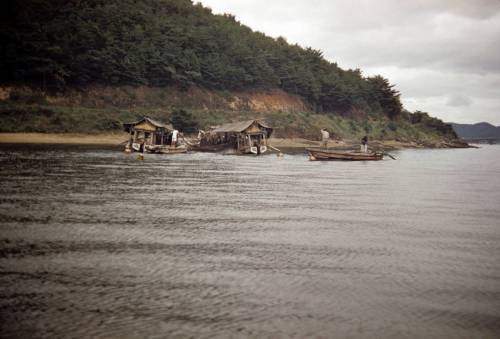 미국 사진작가가 찍은 1956년 한국의 모습.jpg