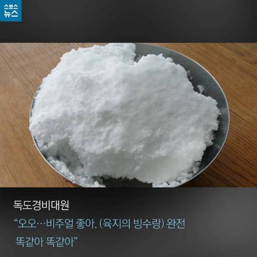 독도 경비대에서 팥빙수 먹는 방법