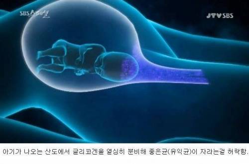 [스압]살균의 위험성.jpg