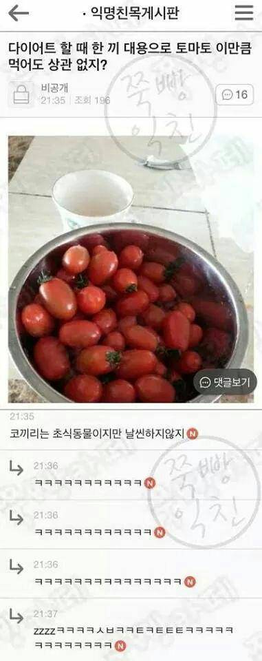 다이어트할 때 토마토는 먹어도 괜찮지?