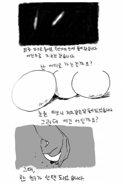 계란프라이 먹으려는데...jpg