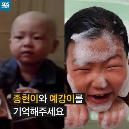 종현이·예강이를 기억해주세요