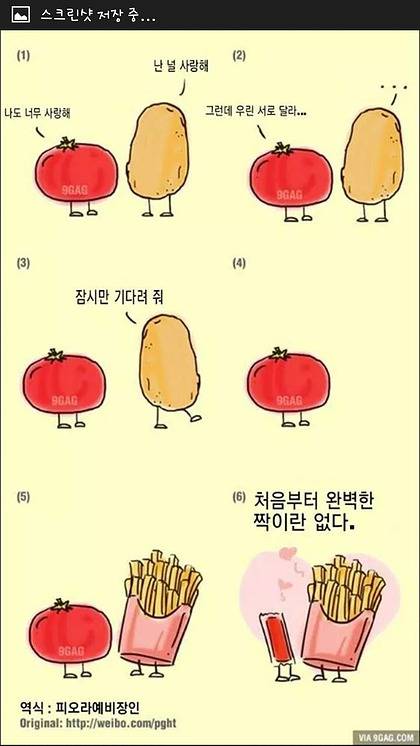 감자와 토마토의 사랑