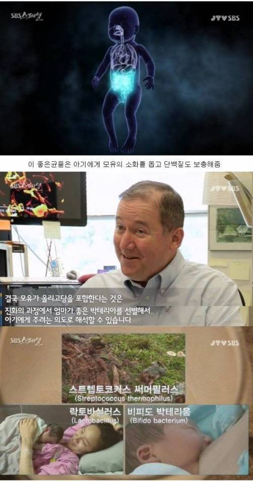 [스압]살균의 위험성.jpg