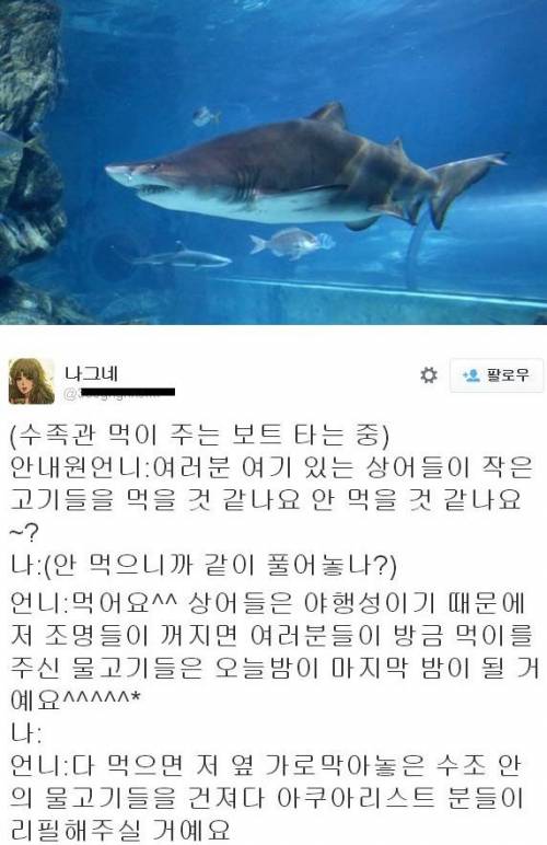 수족관 동심파괴.jpg