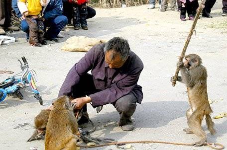 여의봉 쓸 기회가 왔다