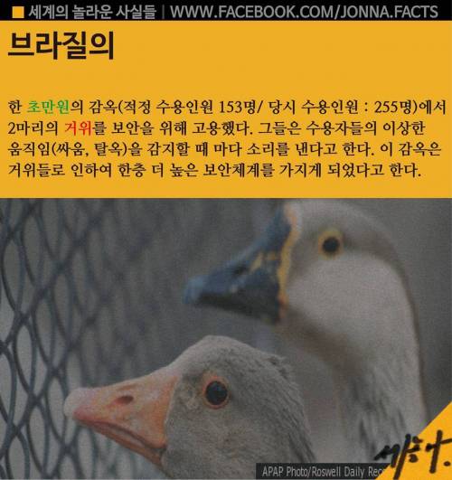 세계의 놀라운 사실들