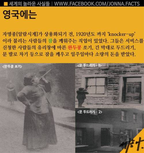 세계의 놀라운 사실들