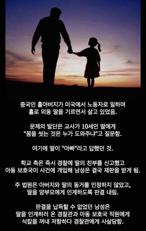 문화 차이가 낳은 비극