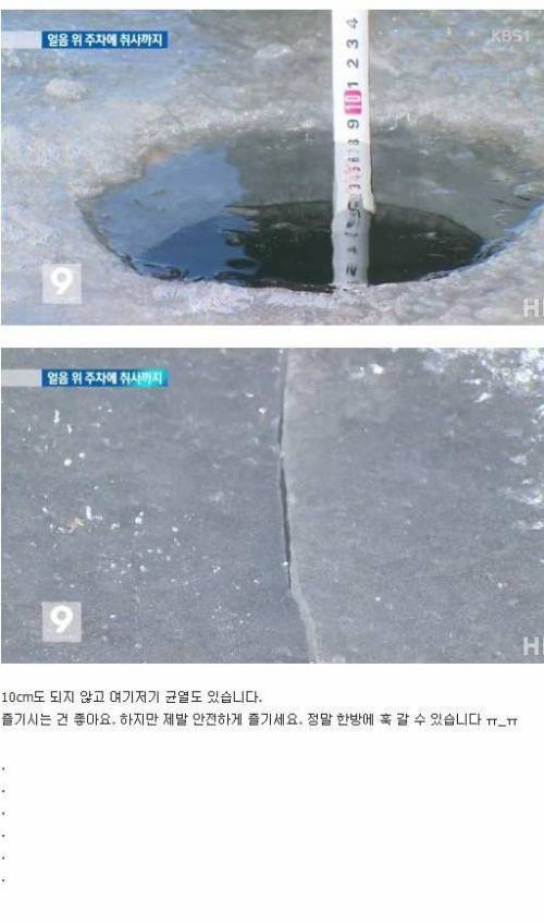 죽으려고 작정한 사람들