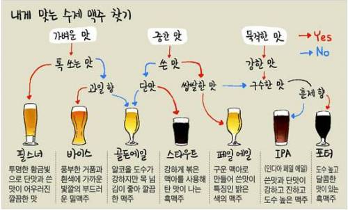 내 입맛에 맞는 맥주 찾기.jpg