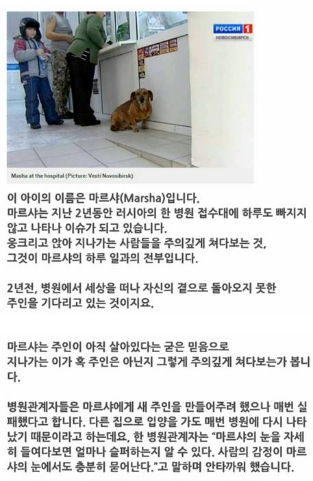 2년의 끝없는 기다림