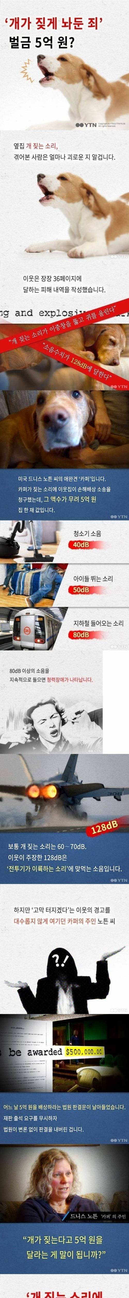 개짖는소리좀 안나게 해라