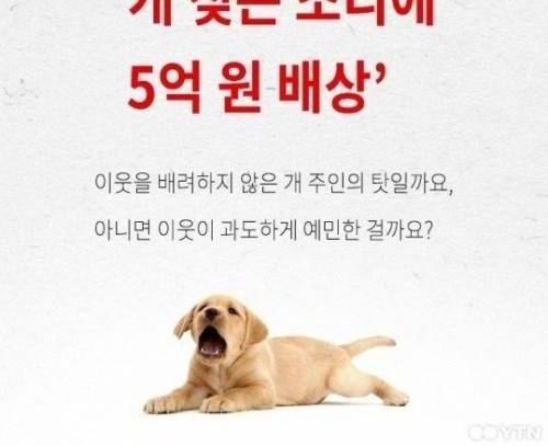 개짖는소리좀 안나게 해라