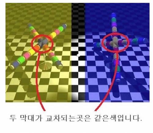 보고도 믿기 힘든 착시 5가지