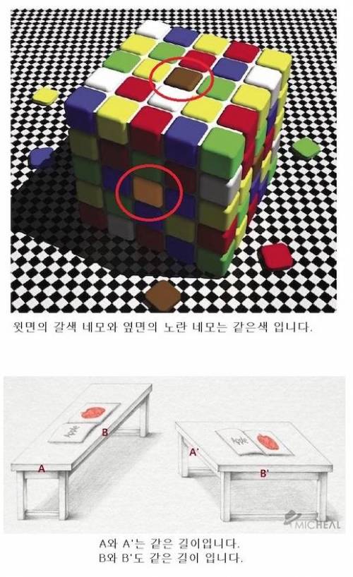 보고도 믿기 힘든 착시 5가지