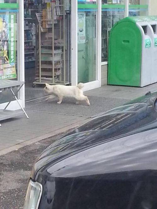 손님 내쫒는 편의점알바.jpg