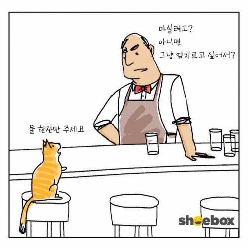 바에 찾아온 고양이.jpg